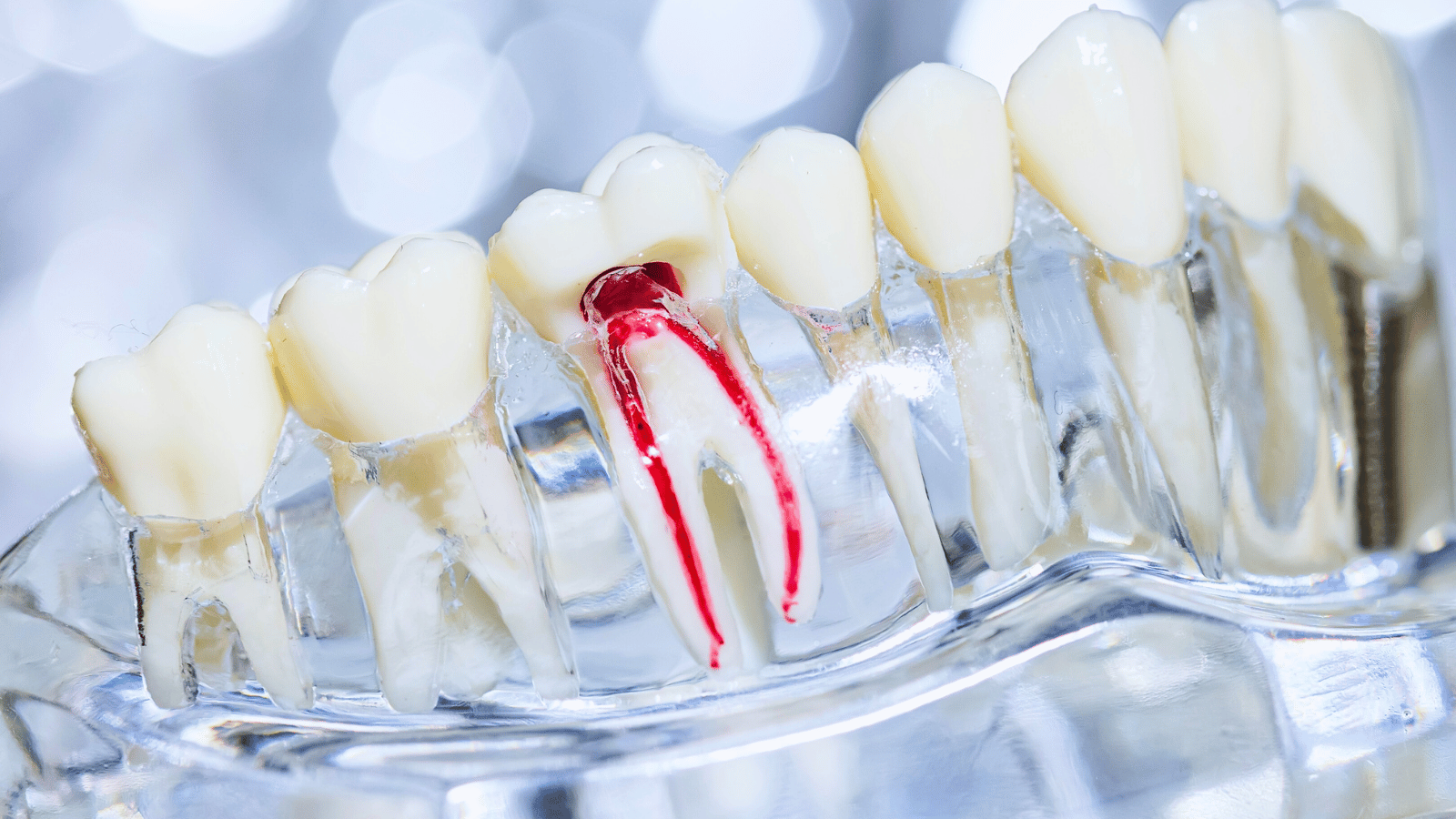 Dental care by Dr. Donald Medina's Dental Office