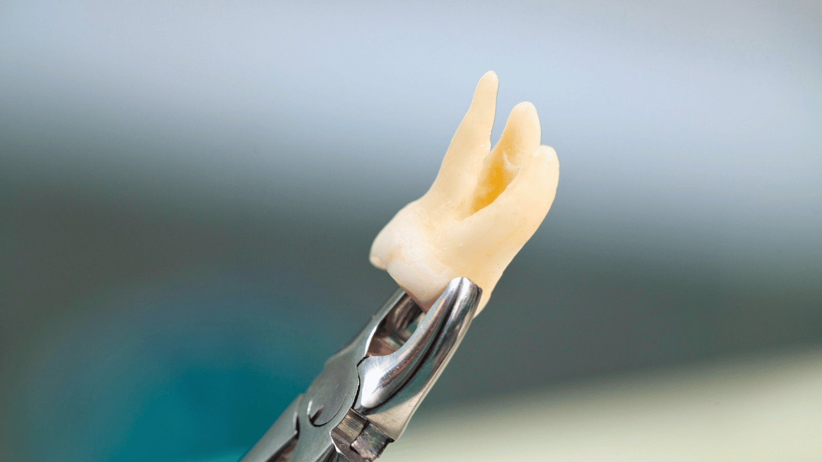 Dental care by Dr. Donald Medina's Dental Office